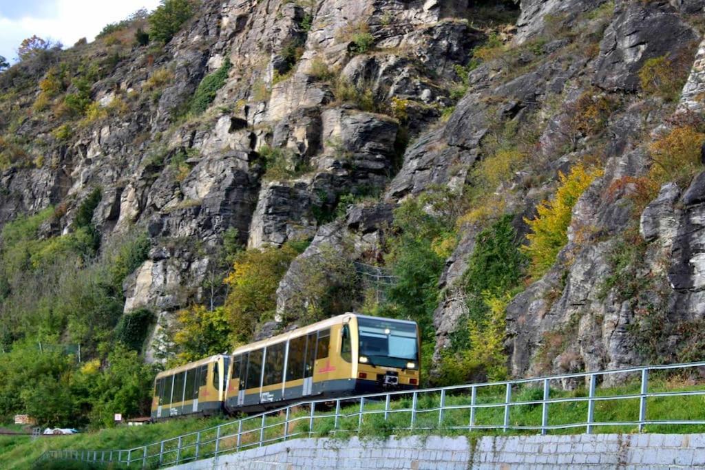 Haus-Donau In Der Wachau Lägenhet Aggsbach Exteriör bild