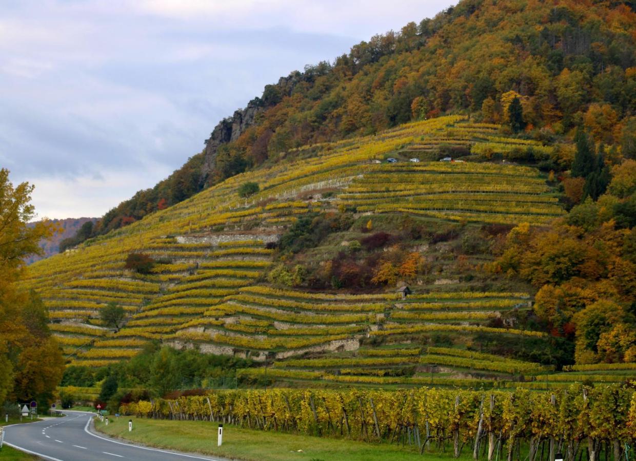 Haus-Donau In Der Wachau Lägenhet Aggsbach Exteriör bild