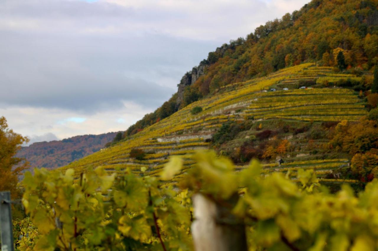 Haus-Donau In Der Wachau Lägenhet Aggsbach Exteriör bild