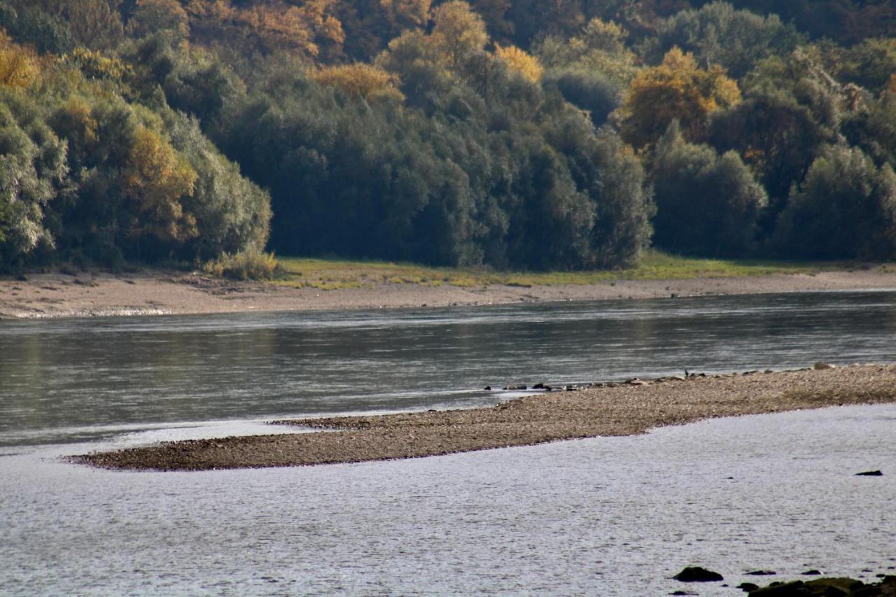 Haus-Donau In Der Wachau Lägenhet Aggsbach Exteriör bild